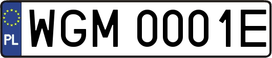 WGM0001E