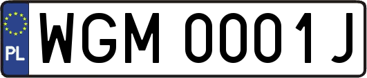 WGM0001J