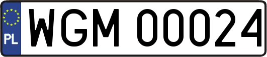 WGM00024