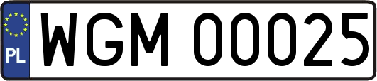 WGM00025
