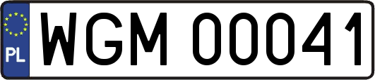 WGM00041