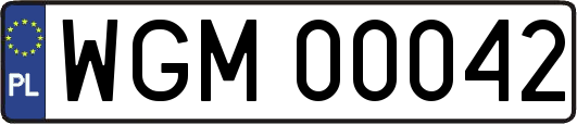 WGM00042