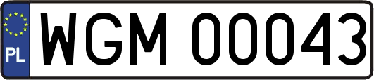 WGM00043