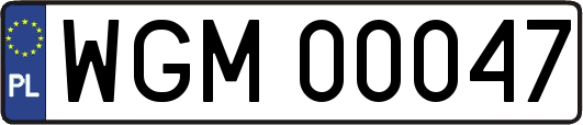 WGM00047
