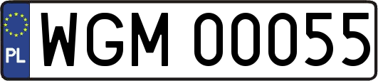 WGM00055