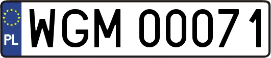 WGM00071