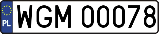 WGM00078