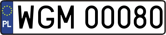 WGM00080