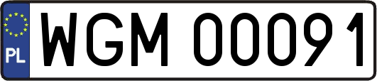WGM00091