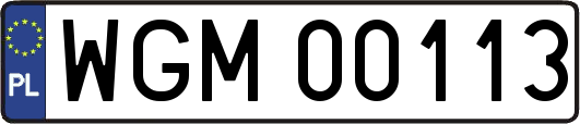 WGM00113