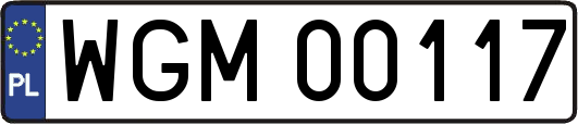 WGM00117
