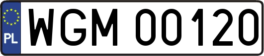 WGM00120