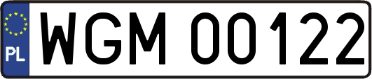 WGM00122