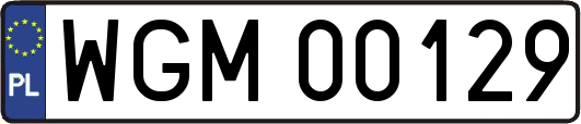 WGM00129