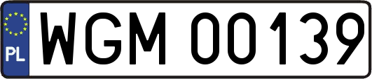 WGM00139
