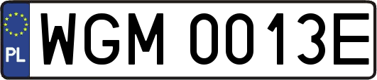 WGM0013E
