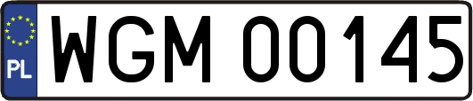 WGM00145