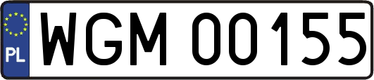 WGM00155