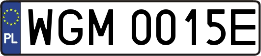 WGM0015E