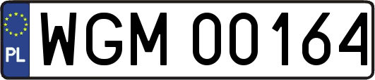 WGM00164
