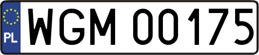 WGM00175