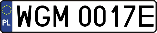 WGM0017E