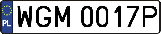 WGM0017P