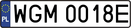 WGM0018E