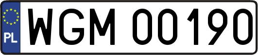 WGM00190