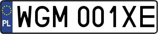 WGM001XE