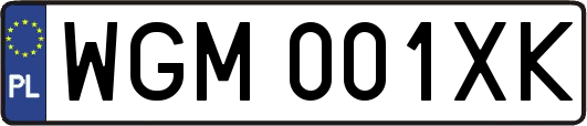 WGM001XK