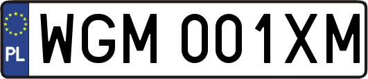 WGM001XM