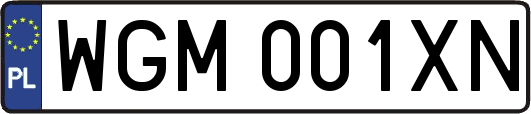 WGM001XN