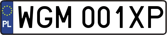 WGM001XP