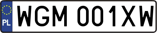 WGM001XW