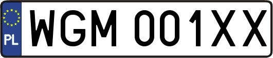 WGM001XX