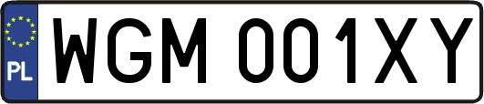 WGM001XY