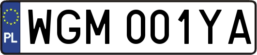 WGM001YA