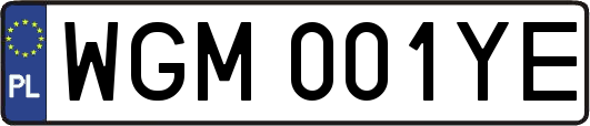 WGM001YE