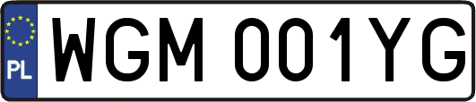 WGM001YG