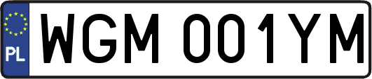 WGM001YM