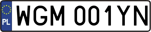 WGM001YN