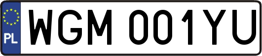 WGM001YU
