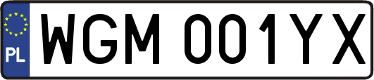 WGM001YX