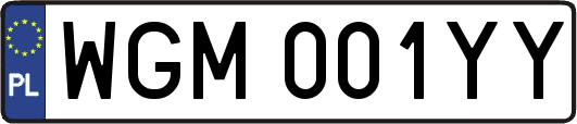 WGM001YY