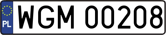 WGM00208