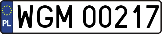 WGM00217