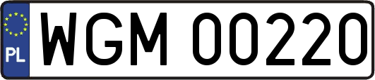 WGM00220