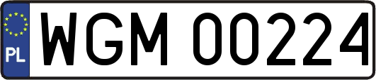 WGM00224