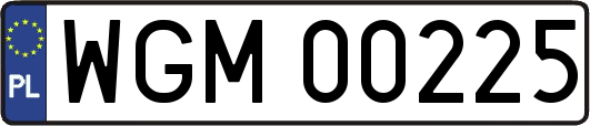 WGM00225